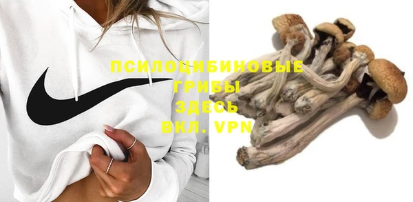 шишки Алексин