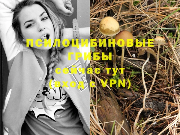 кокаин колумбия Алзамай