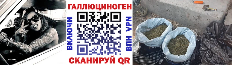 Псилоцибиновые грибы ЛСД  наркошоп  Нестеров 